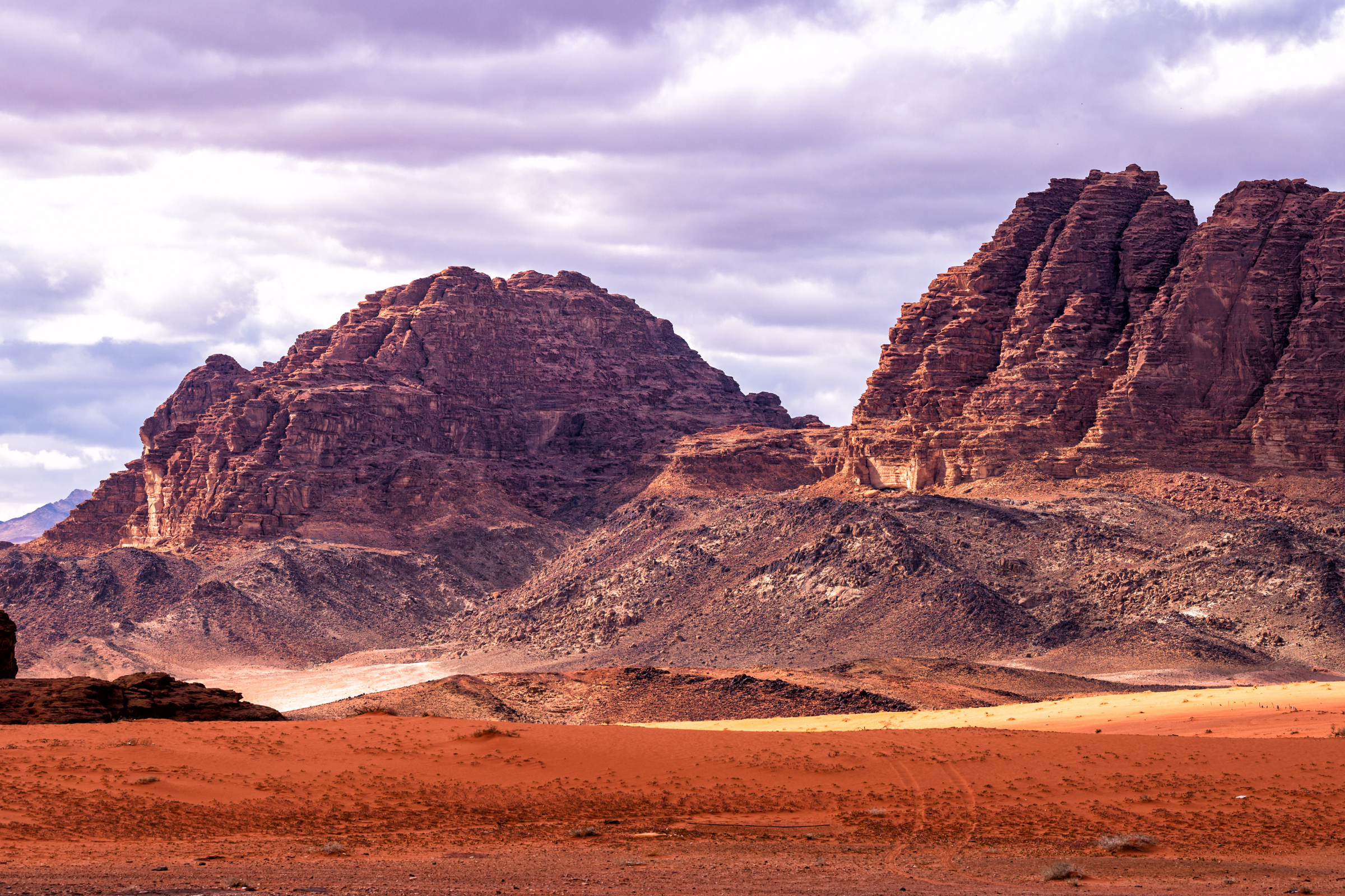wadi rum desert & protected area (3).webp